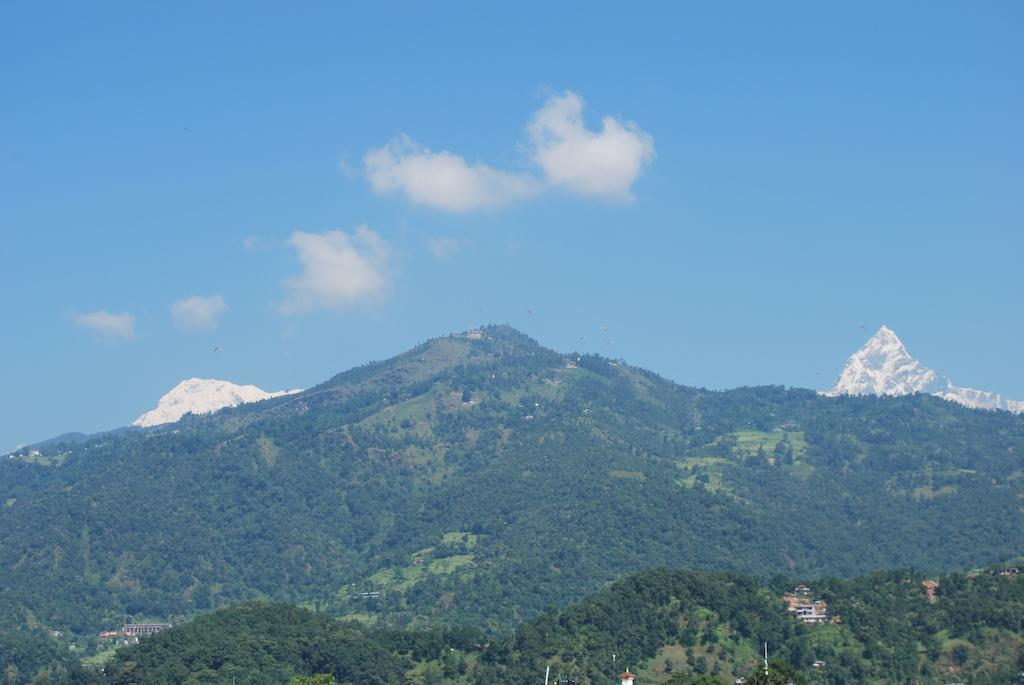 Butterfly Lodge Pokhara Eksteriør bilde